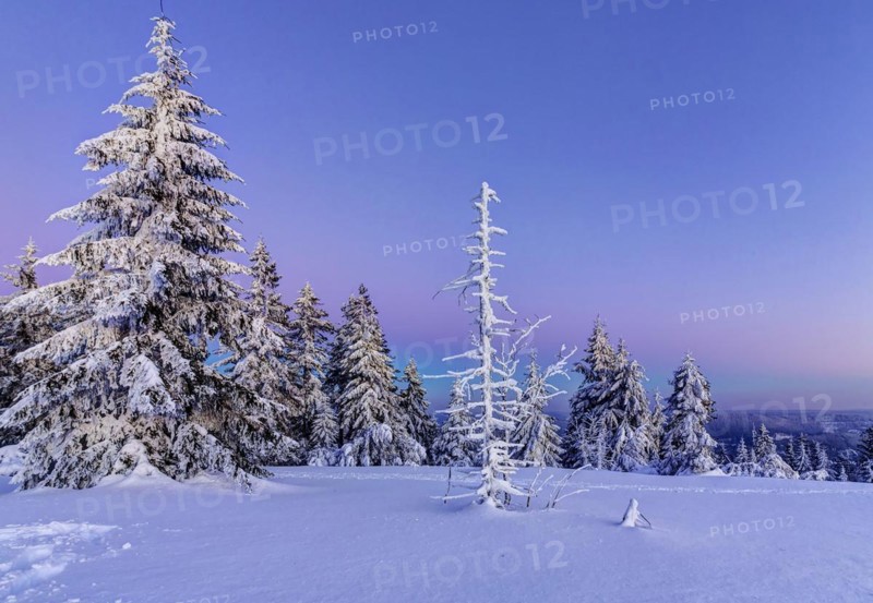 Winter landscape in the Black Forest