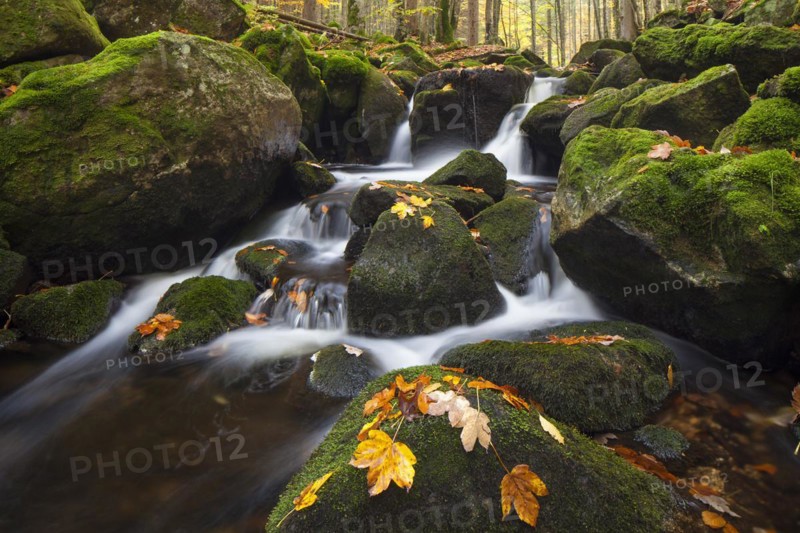 Waterfall on the Kleine Ohe