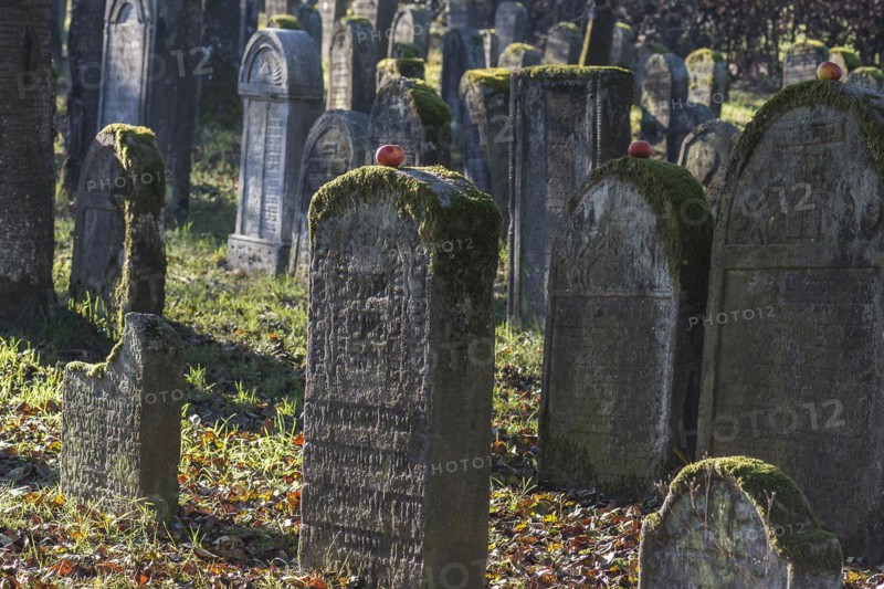 Historic Jewish cemetery