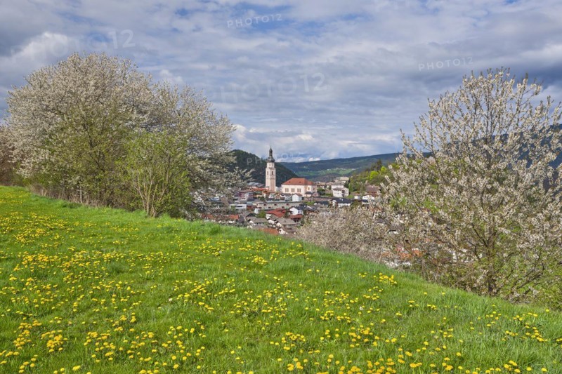Castelrotto with blossoming trees