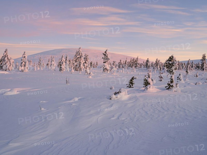 Morning atmosphere in wintry Pallas-Yllaestunturi National Park