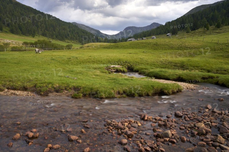 The Kremsbach in Schoenfeld