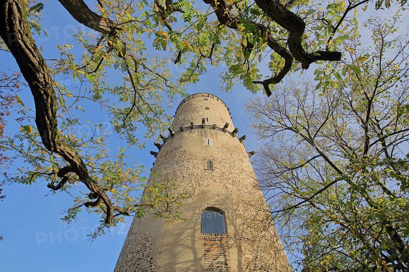 View up to the tower of the Godesburg
