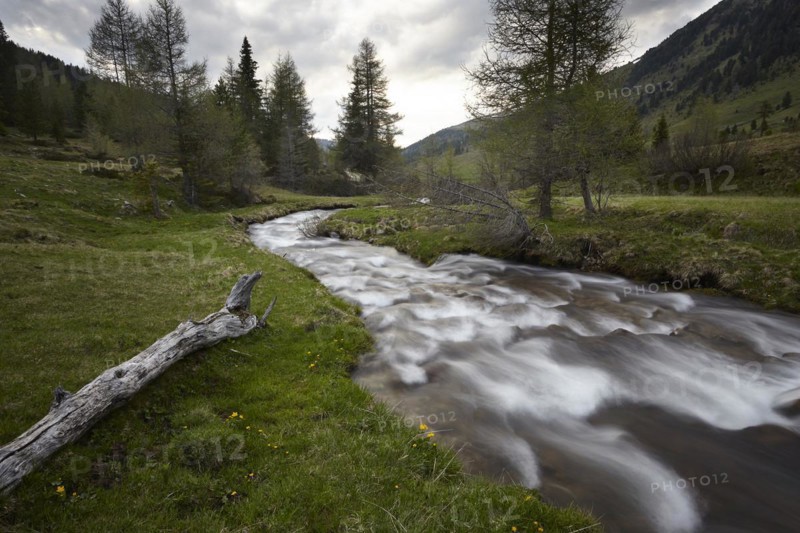 The Kremsbach in Schoenfeld