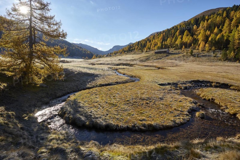 The Kremsbach in Schoenfeld