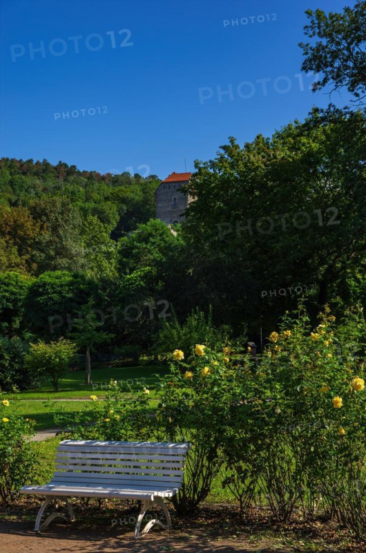 Impressions from the spa gardens of Bad Frankenhausen