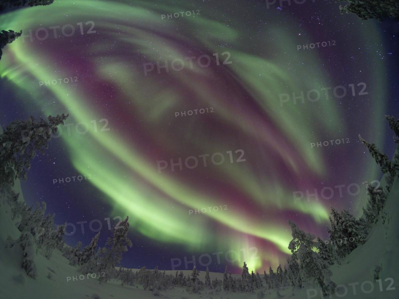 Northern Lights over Pallas-Yllaestunturi National Park