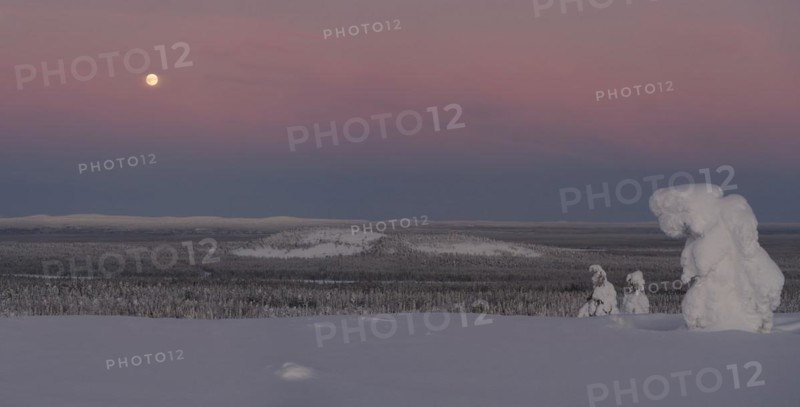 Full moon with day-night boundary and snow-covered trees over Pyhae-Luosto National Park