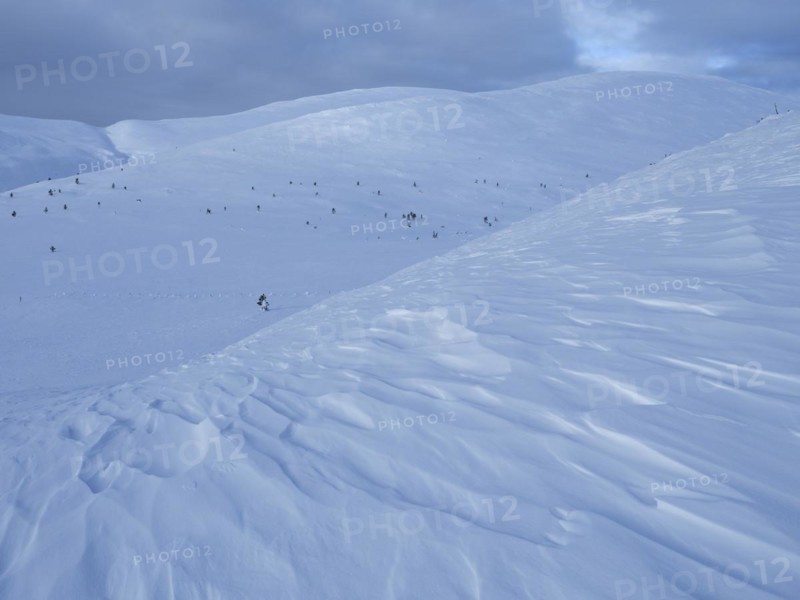 Above the tree line in wintery Pallas Yllaestunturi National Park