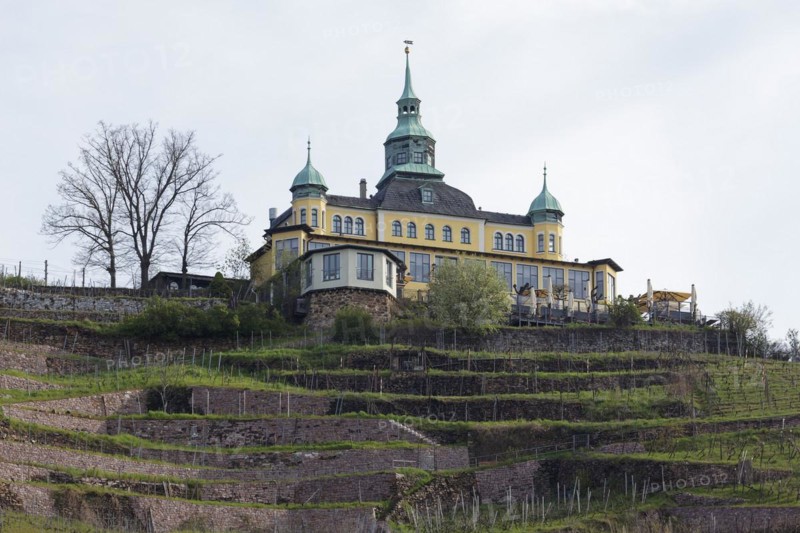 Spitzhaus Radebeul