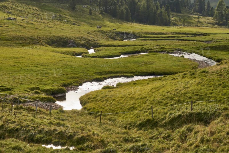 The Kremsbach in Schoenfeld
