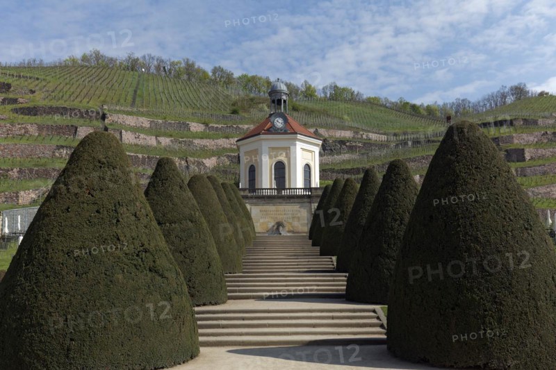 Belvedere Schloss Wackerbath
