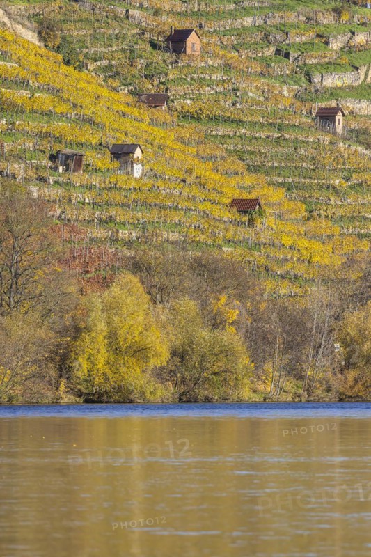 Vineyard cottage in the vineyards above the Neckar