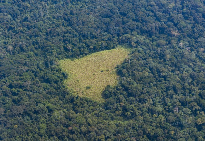 Aerial of the jungle around Kisangani