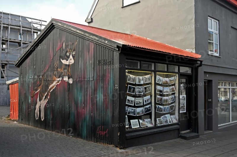 Photo gallery with cat graffiti on the outside wall