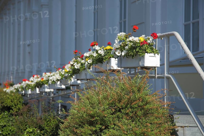 Decoration with row of flower pots on the railing of the spa hotel