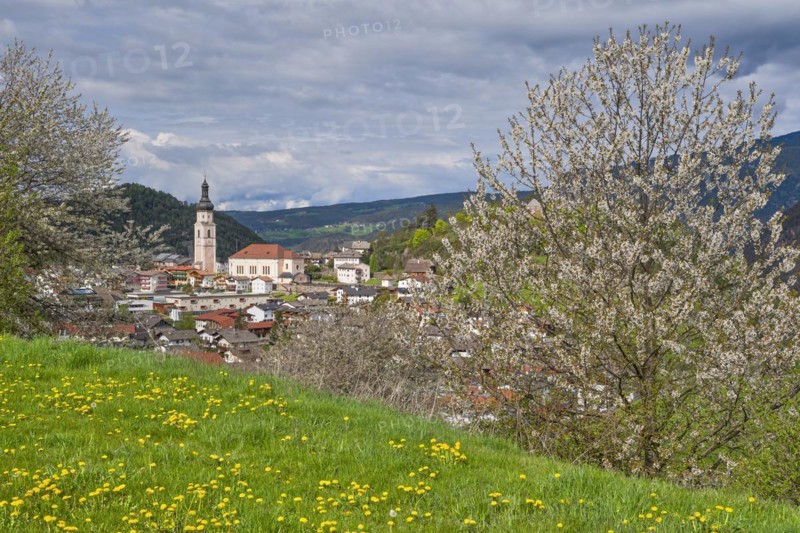 Castelrotto with blossoming trees