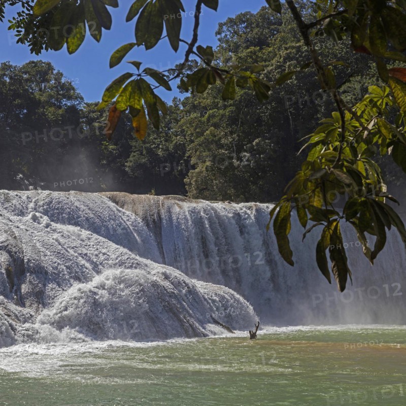 Cascadas de Agua Azul