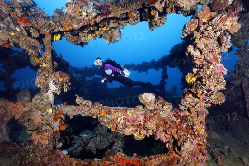 Diver