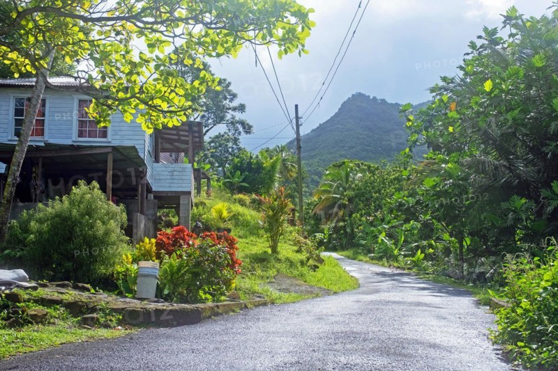 Rural scene in tropical rain forest near the Concord Falls
