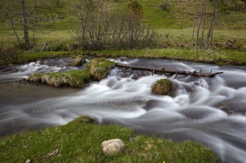 The Kremsbach in Schoenfeld