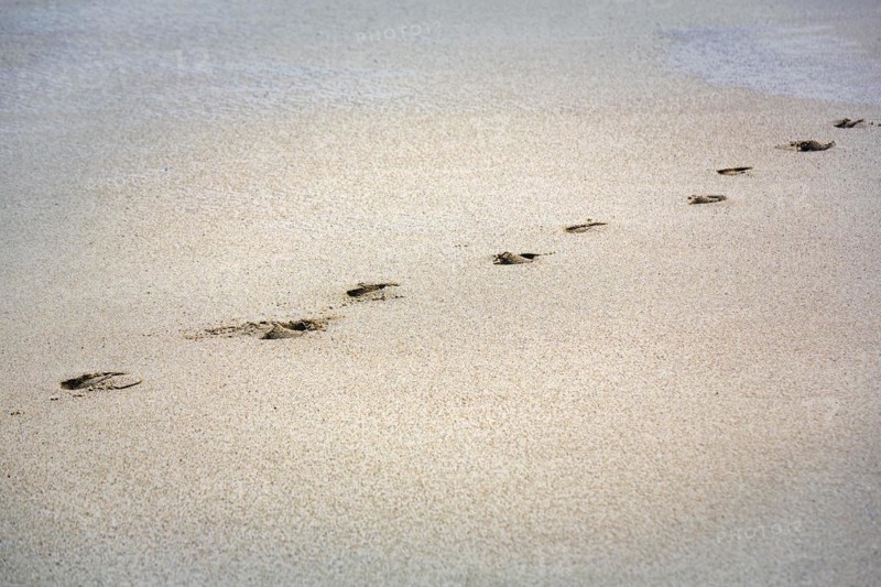 Footprint