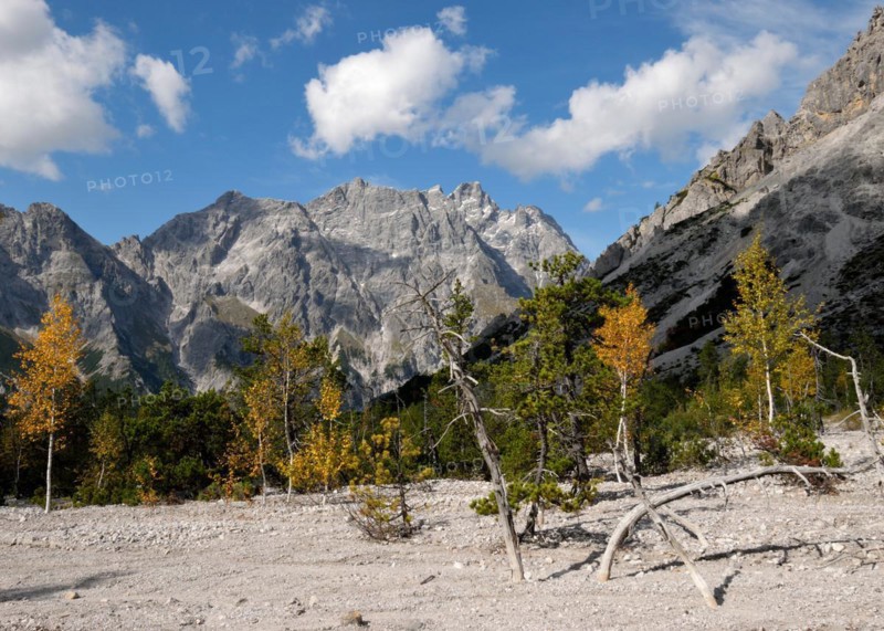 Autumn in Wimbachgries with a view of the Hochkalter