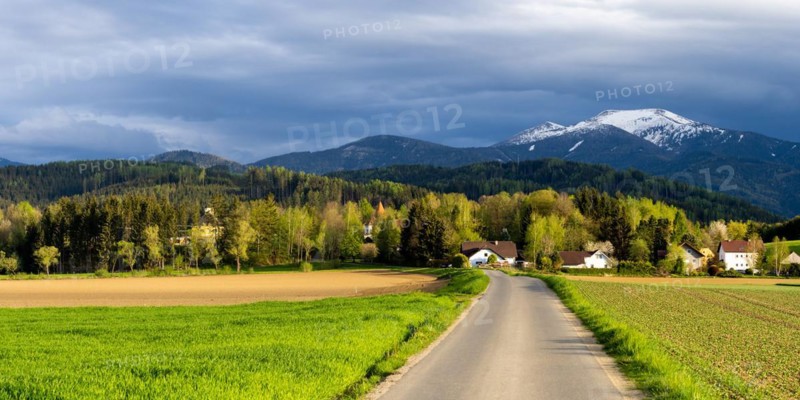 Road to the Thann castle ruins