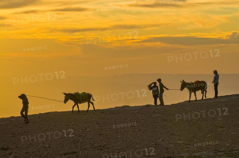 Caravan with donkey in twilight
