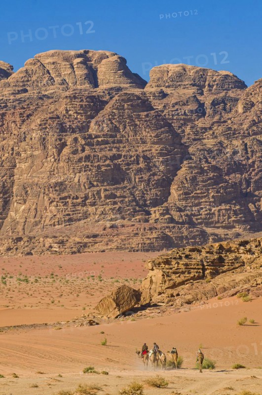 Bedouins with camels in desert