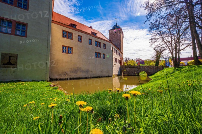 The moated castle of Kapellendorf with moat and common dandelion
