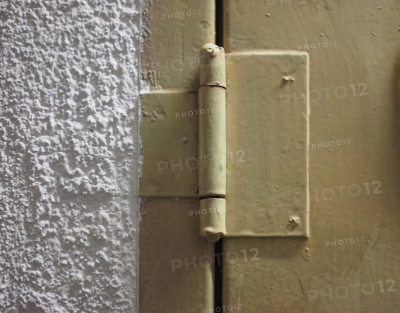 Industrial door hinge