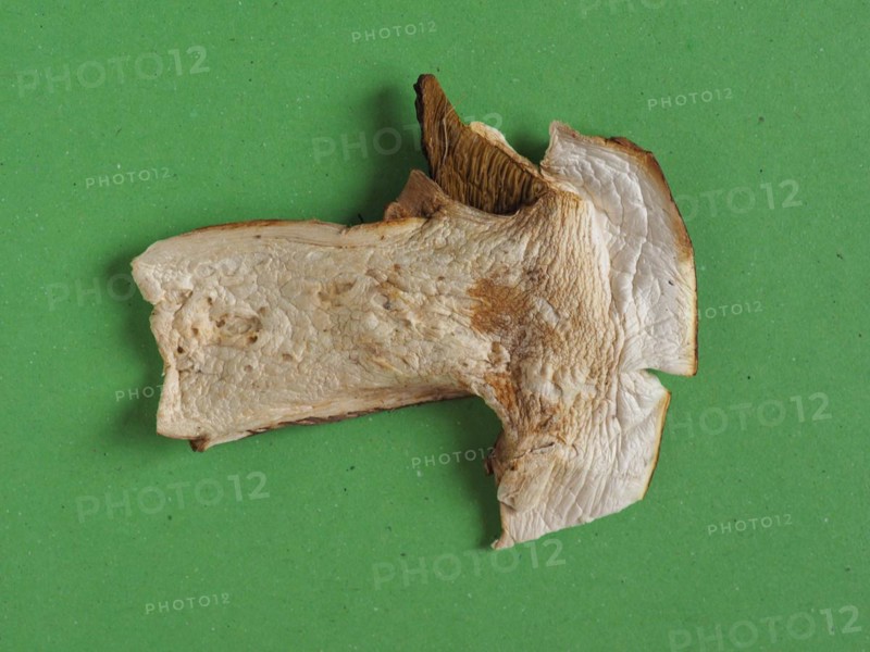 Dried porcini mushroom food
