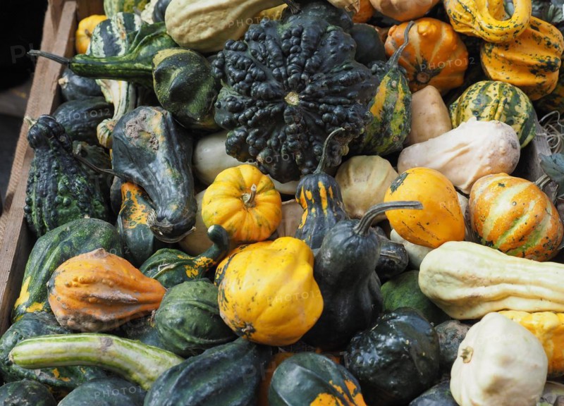 Pumpkin vegetables food