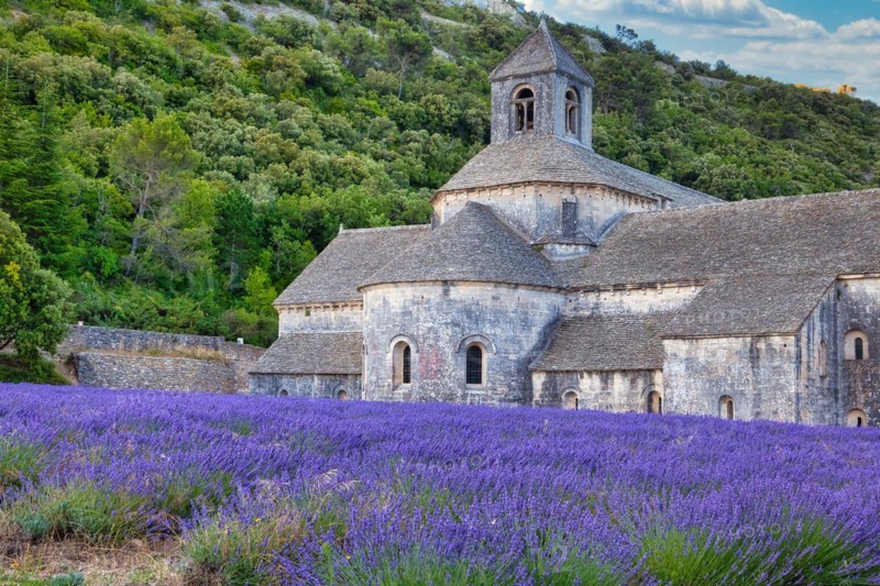 Cistercian Abbey Abbaye Notre-Dame de Senanque