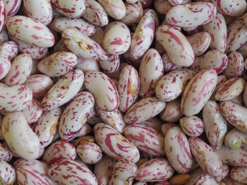 Crimson beans legumes vegetables food