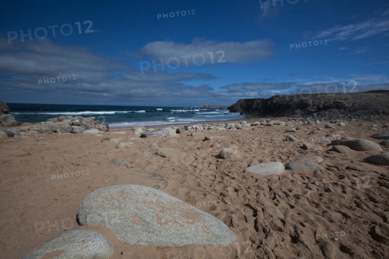 Wild Coast