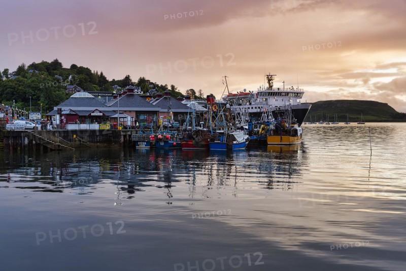Boats in the harbour
