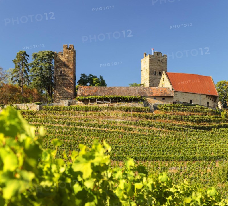 Neipperg Castle