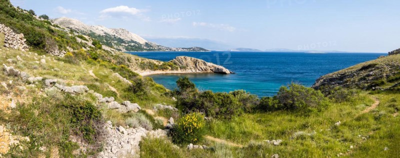 Rugged coastline