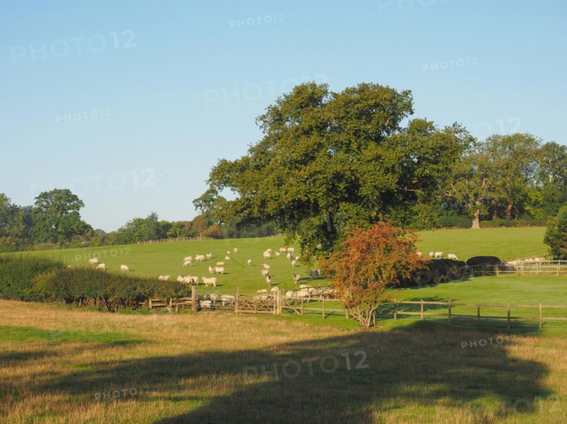 View of Tanworth in Arden