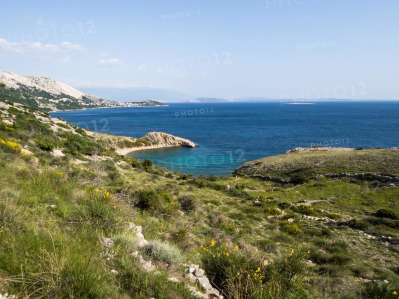 Rugged coastline