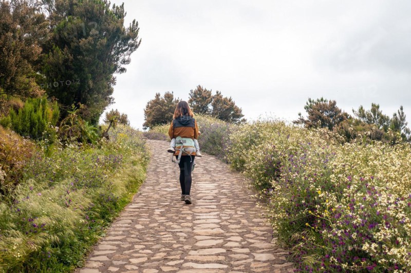 Woman on the trail up to the top of Garajonay in La Gomera