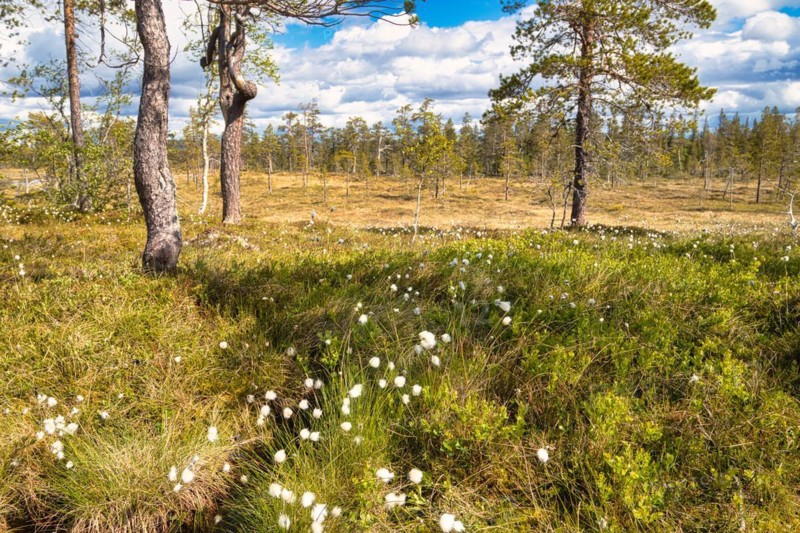 Fulufjaellet National Park