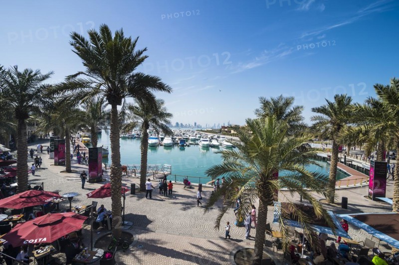 Palm fringed walkway on Marina Mall