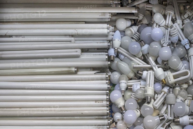 Broken light bulbs and fluorescent tubes collected in a container