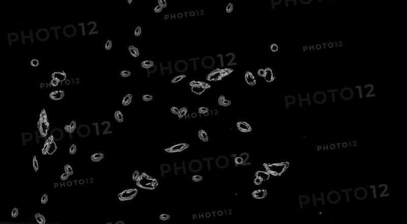 Cropped water drops raindrops rainy mist small droplets drops on transparent translucent background