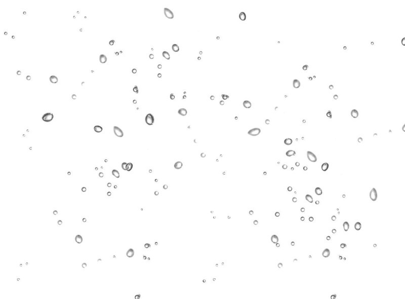 Cropped water drops raindrops rainy mist small droplets drops on transparent translucent background