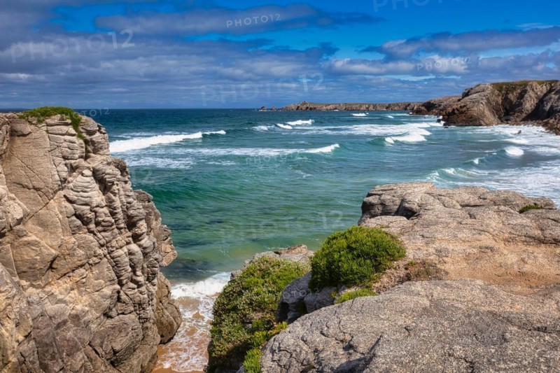 Wild Coast