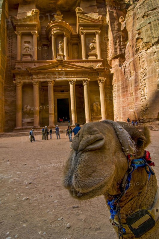 Camel in front of tomb in the rock